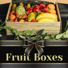 
    Fruit Boxes
  