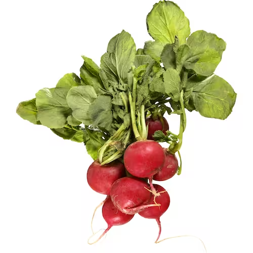 Radish Half Bunch