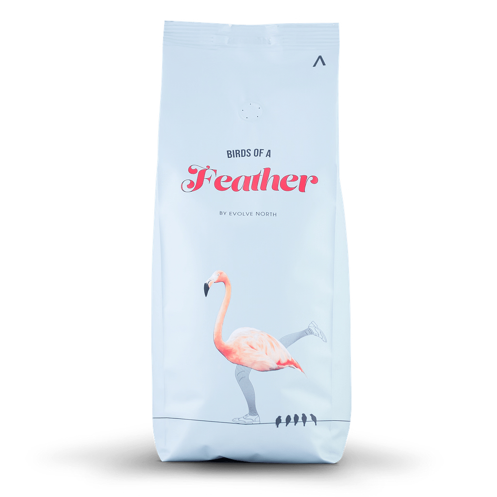 Evolve North Birds of a Feather Coffee 500g