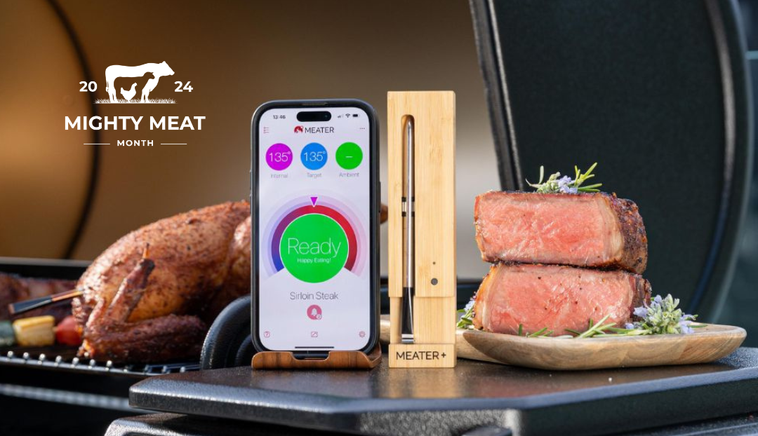 Wireless Meater Thermometer