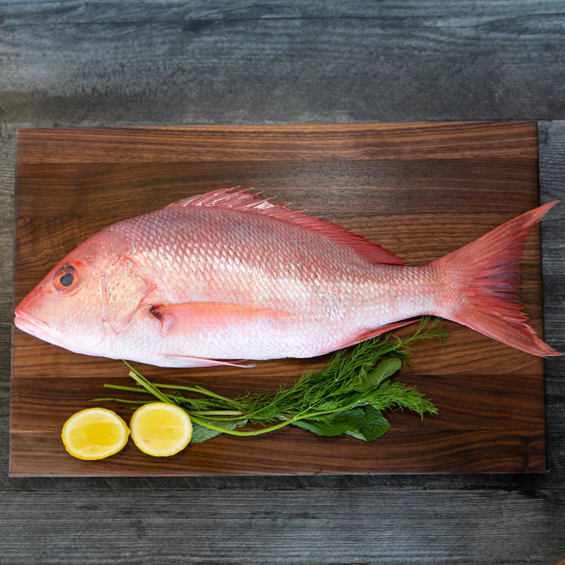 Whole Snapper approx 1kg  $37.80 EA