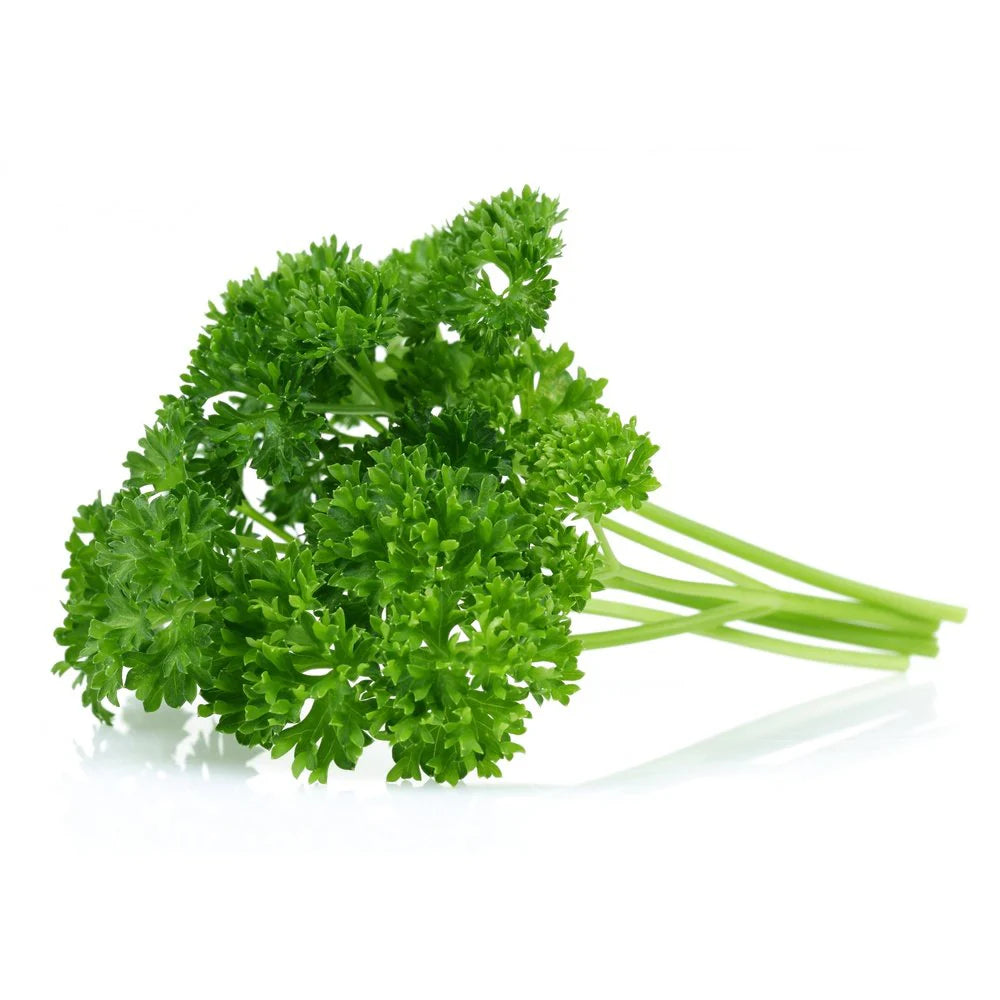 Curly Parsley (Small Sleeve)