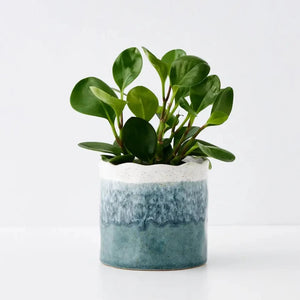 Coast to Coast Tidal Ceramic Plant Pot Blue