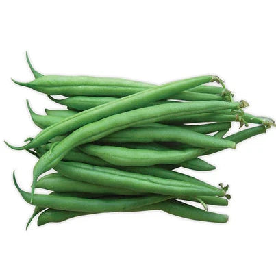 Beans Green Fresh 500g