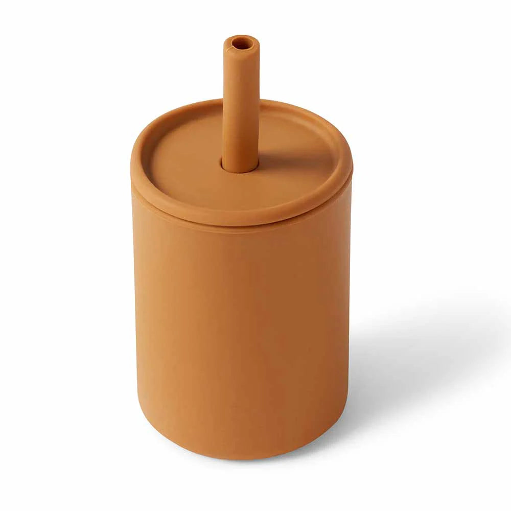 Silicone Sippy Cup.