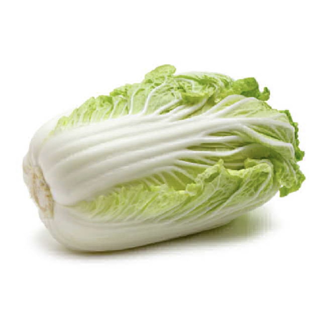 Wombok Chinese Cabbage