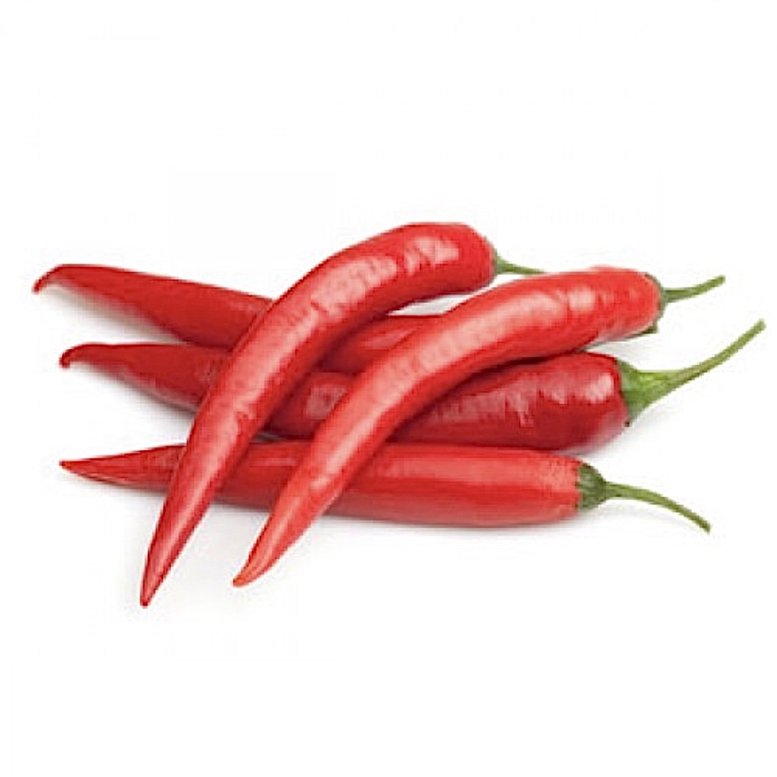 Chilli Red Long 50g