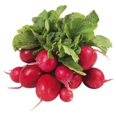 Radish Bunch