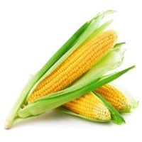 Corn Cob Sweet Each