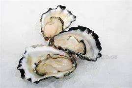 Fresh Sydney Rock Oysters in half shell per half dozen