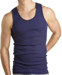 Bonds Mens Chesty Singlet Navy Size 24 2pk