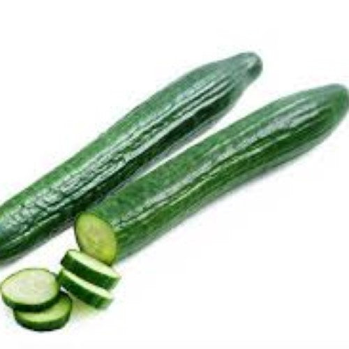 Cucumber Continental Ea