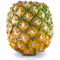 Pineapple Topless Medium