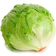 Lettuce Iceberg